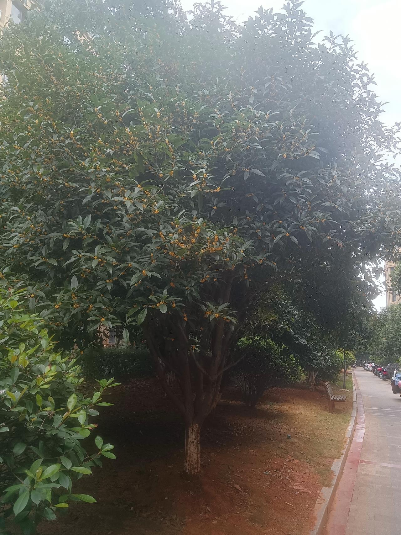 秋天收获的季节，秋收冬藏！