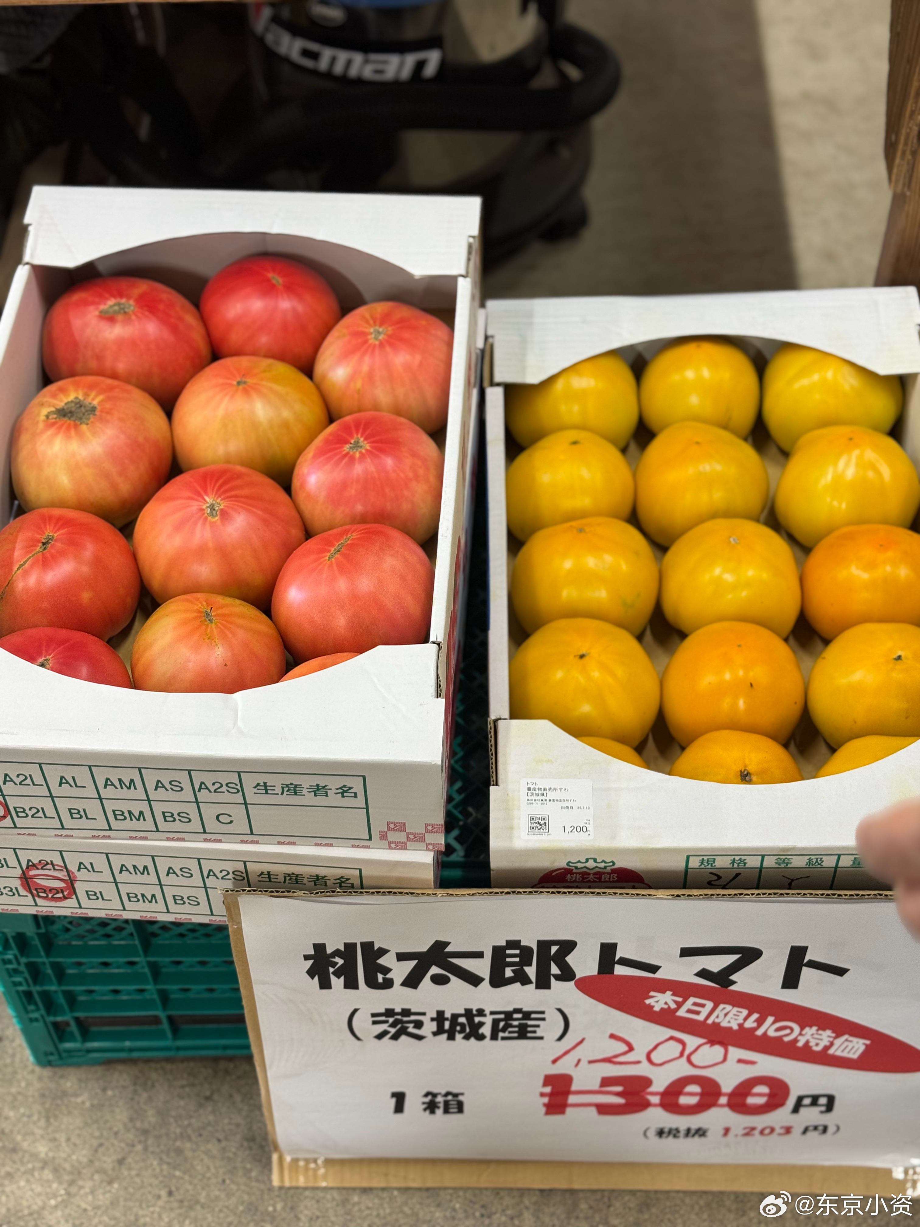 桃太郎番茄好便宜啊