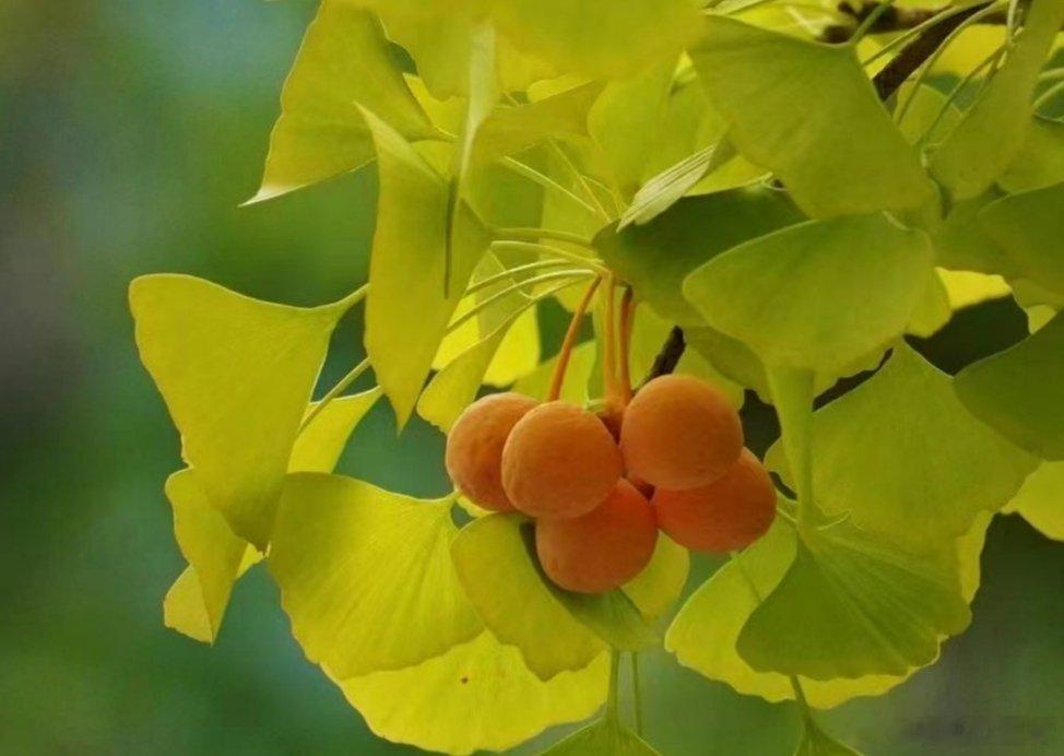 #真正开悟的人是什么样的##这是我的心里话# 经历过挫折和绝望之后，看透了人性，