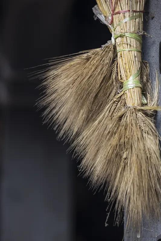 我家储物间门后靠了把高粱穗扎的炊帚，算下来快30年了，手柄处的麻绳都磨得发毛，扫