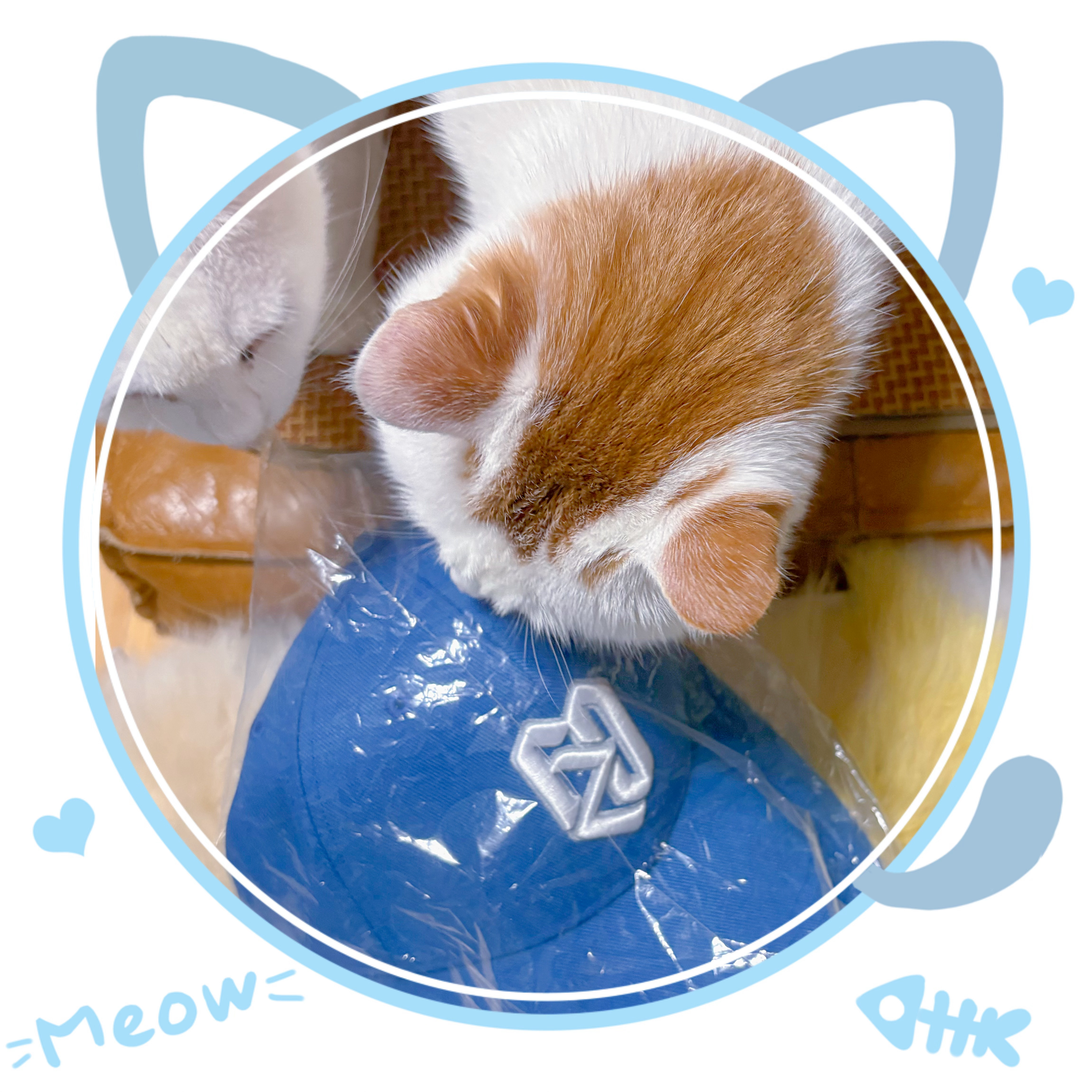 哈哈，我的蓝色安踏樊振东系列 帽子也到了，黑色和蓝色，我都拥有了～谢谢为我抢到～