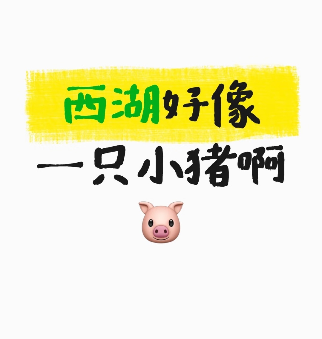俯瞰西湖，像一只小猪🐷 