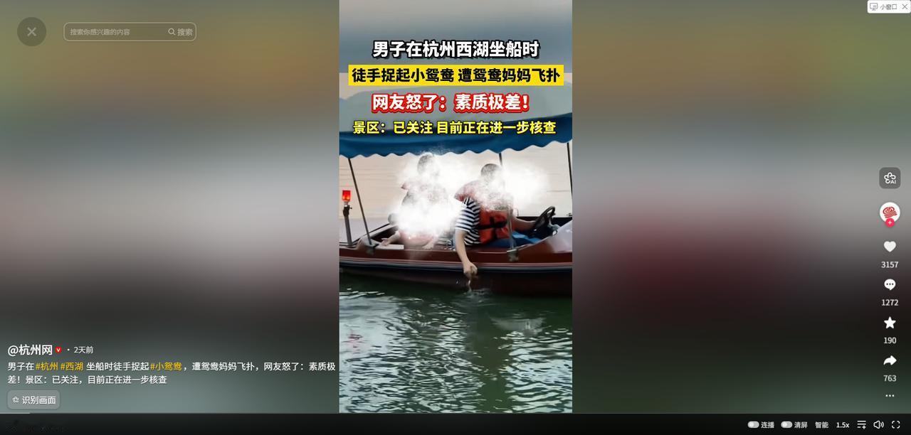 “这种人就应该拉黑！”浙江杭州，一名游客在船上，光天化日之下，竟然伸手把一只还没