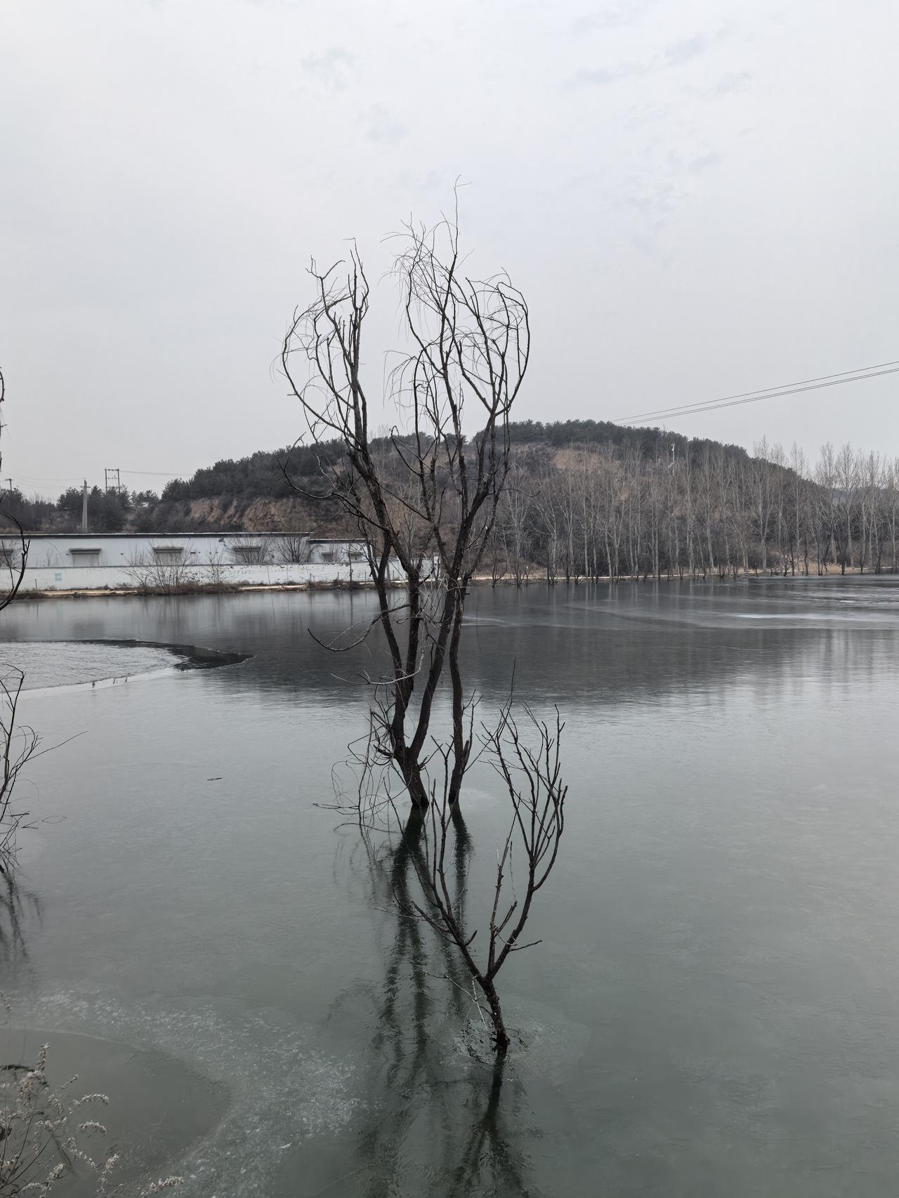 可以分享一张最美湖面的照片吗
