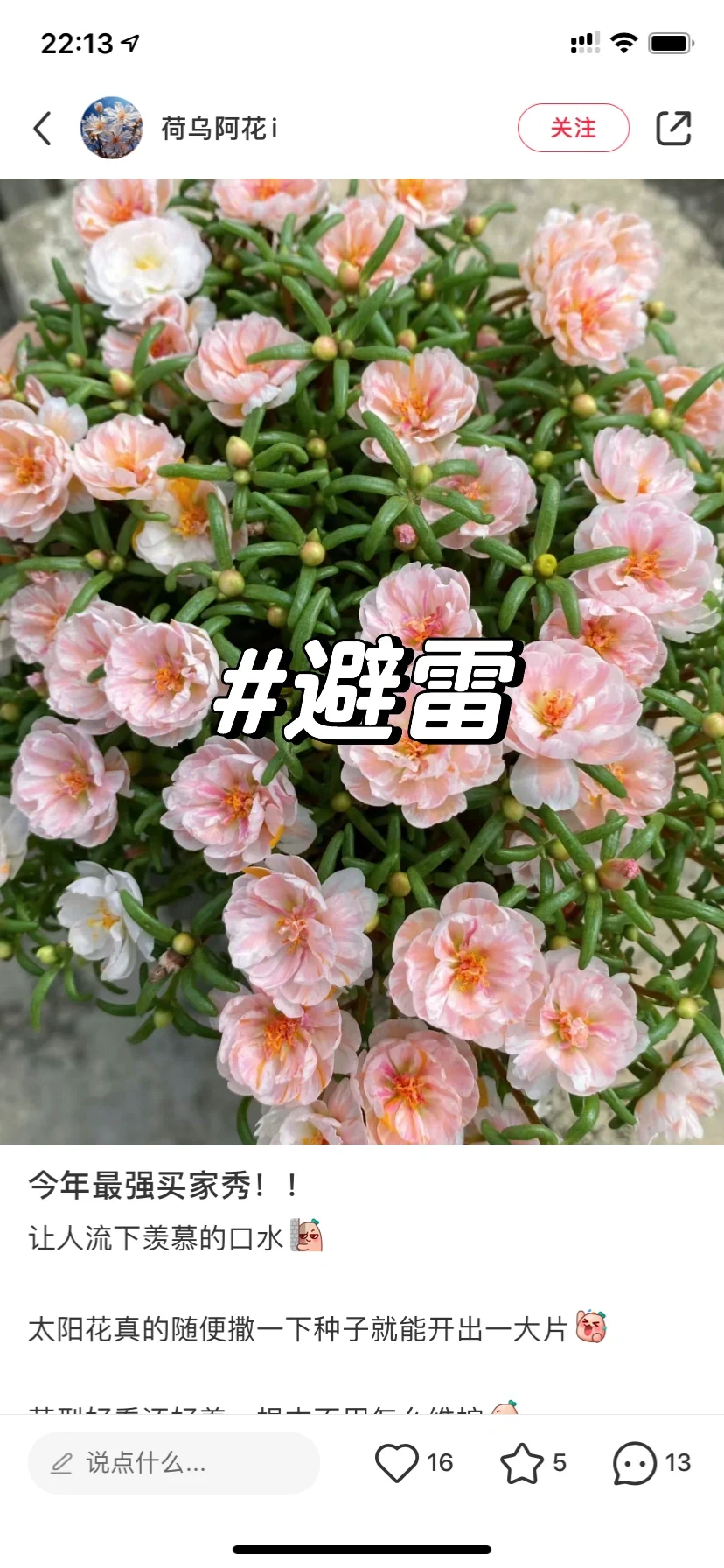 发一下避雷贴，为什么你总是买不到对版的花