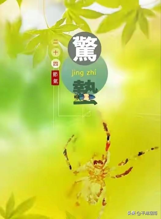 ²⁰²⁶/₀₃.₀₅ 🌸🍃🍃🍃🍃今年春应令，惊蛰早闻雷。