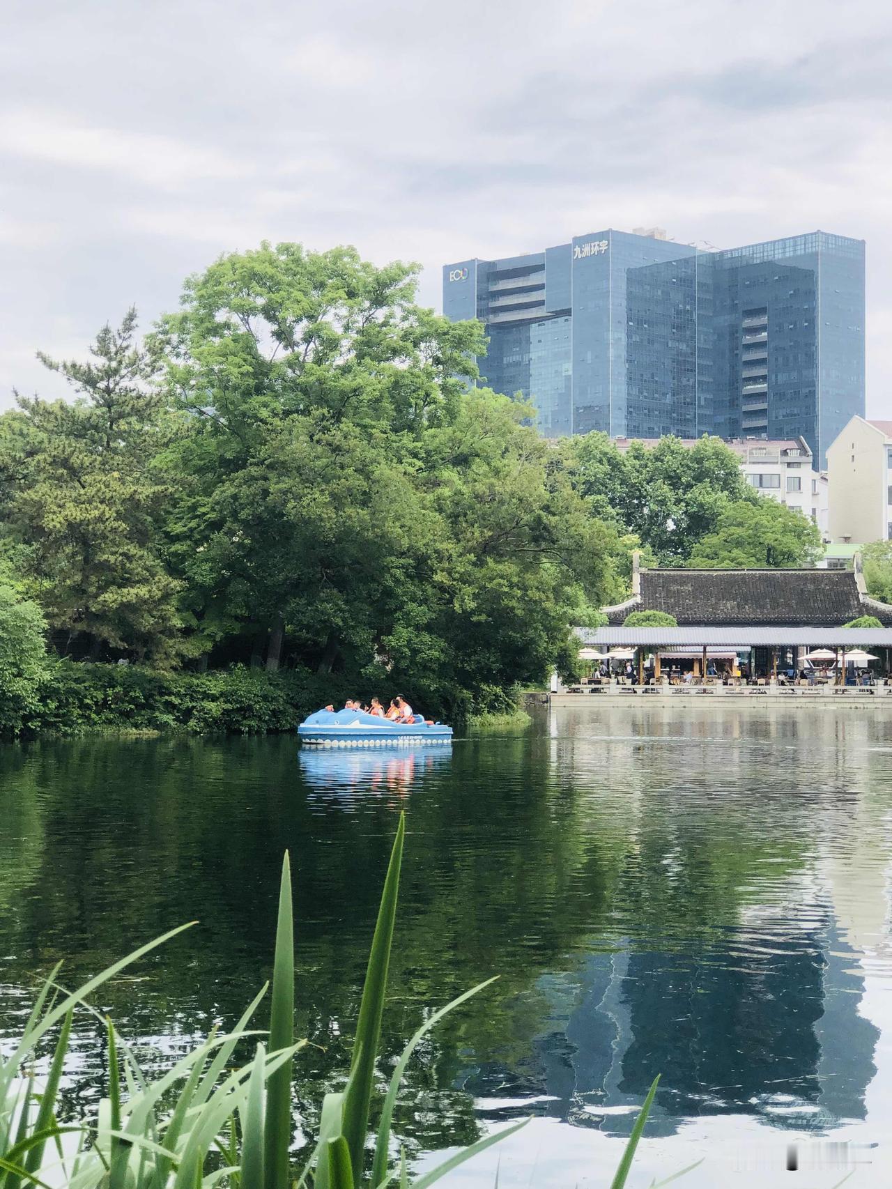 漫步常州红梅公园，满目舒心，湖面碧波荡漾，小黄鸭游船载着游客轻轻划过水面。树荫下