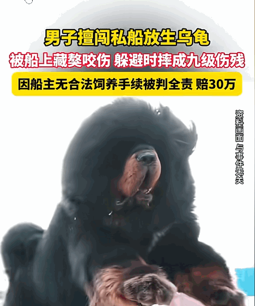 “不作死就不会死！”江苏常州，王某夫妻从事河道保洁工作，长期住在自家船上，因船上