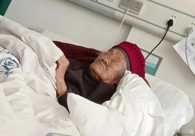 亲情在金钱面前不值一提！上海，女子独自赡养多年的母亲去世后，母亲单位将抚恤金和丧