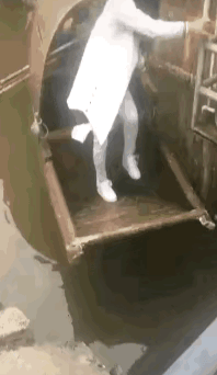 急死人了，你倒是放手啊！