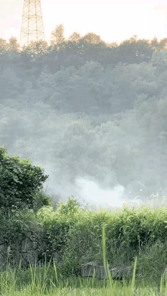什么时候我也能像他这么潇洒
