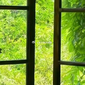 她本名林桃花，二十一世纪重点大学历史民俗系硕士，专攻古代农耕民俗与乡土社会研究，