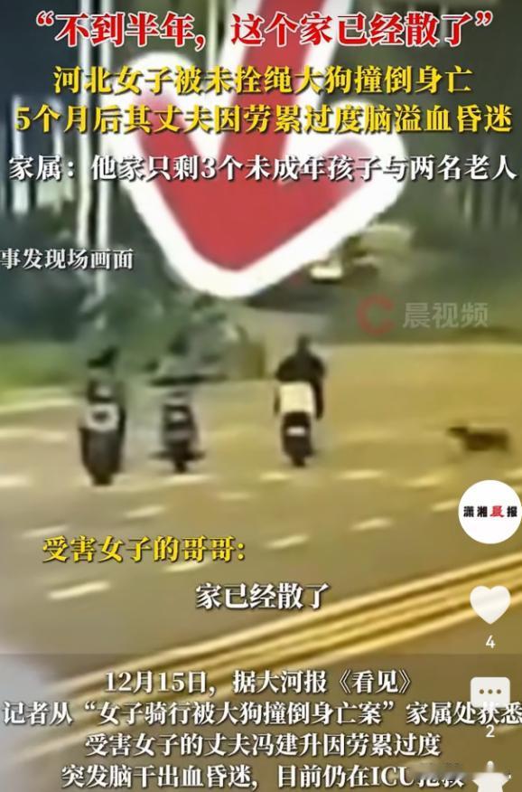 河北邯郸，一女子骑电动车上班途中，突然窜出一条大狗，将她连人带车撞翻，女子当场离