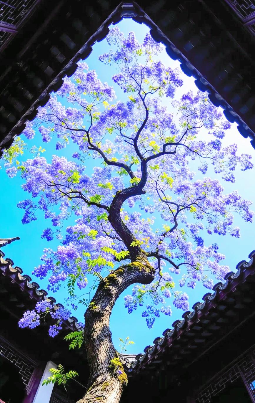 大仇结夫妻，大怨结父子，猪羊炕上坐，六亲锅里煮。
看懂这句话，才明白很多关系，强