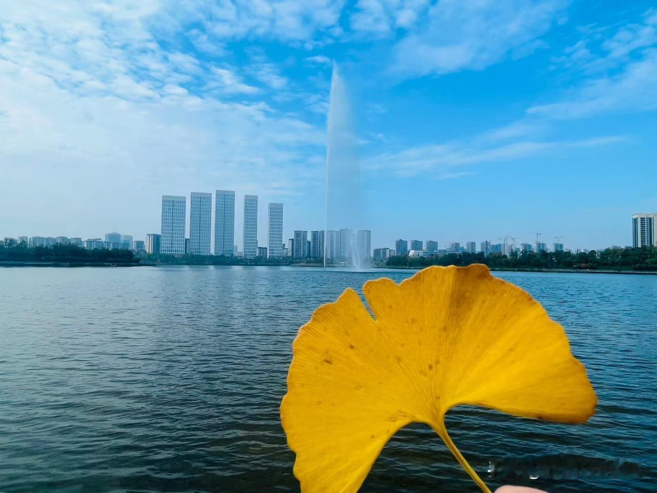 今天的成都草坪上要长满人
太难得了
感觉八百年没出过太阳了
分享城市新鲜事