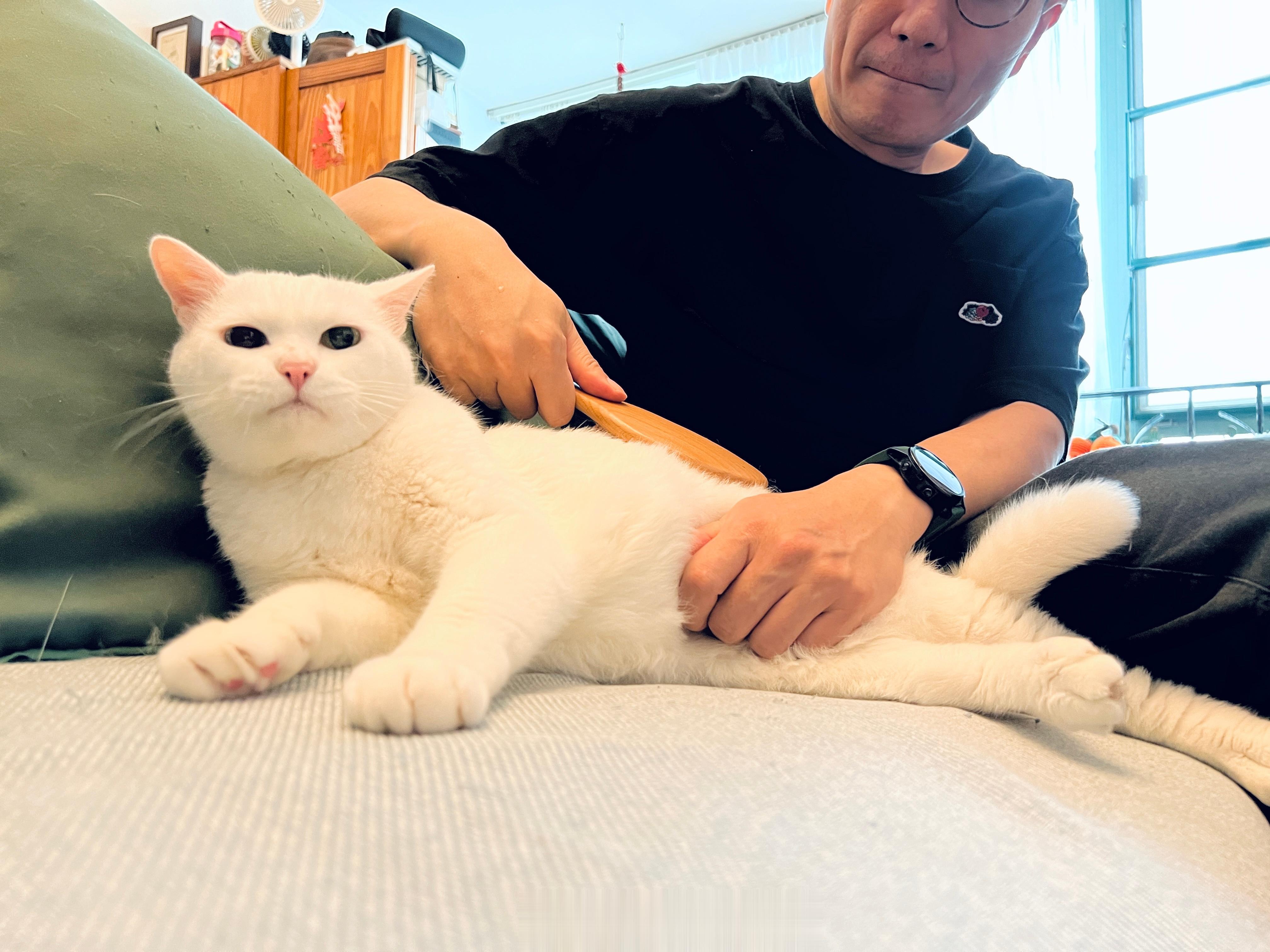 論高明的梳理按摩手法還是得交給板橋張師父 ​​​