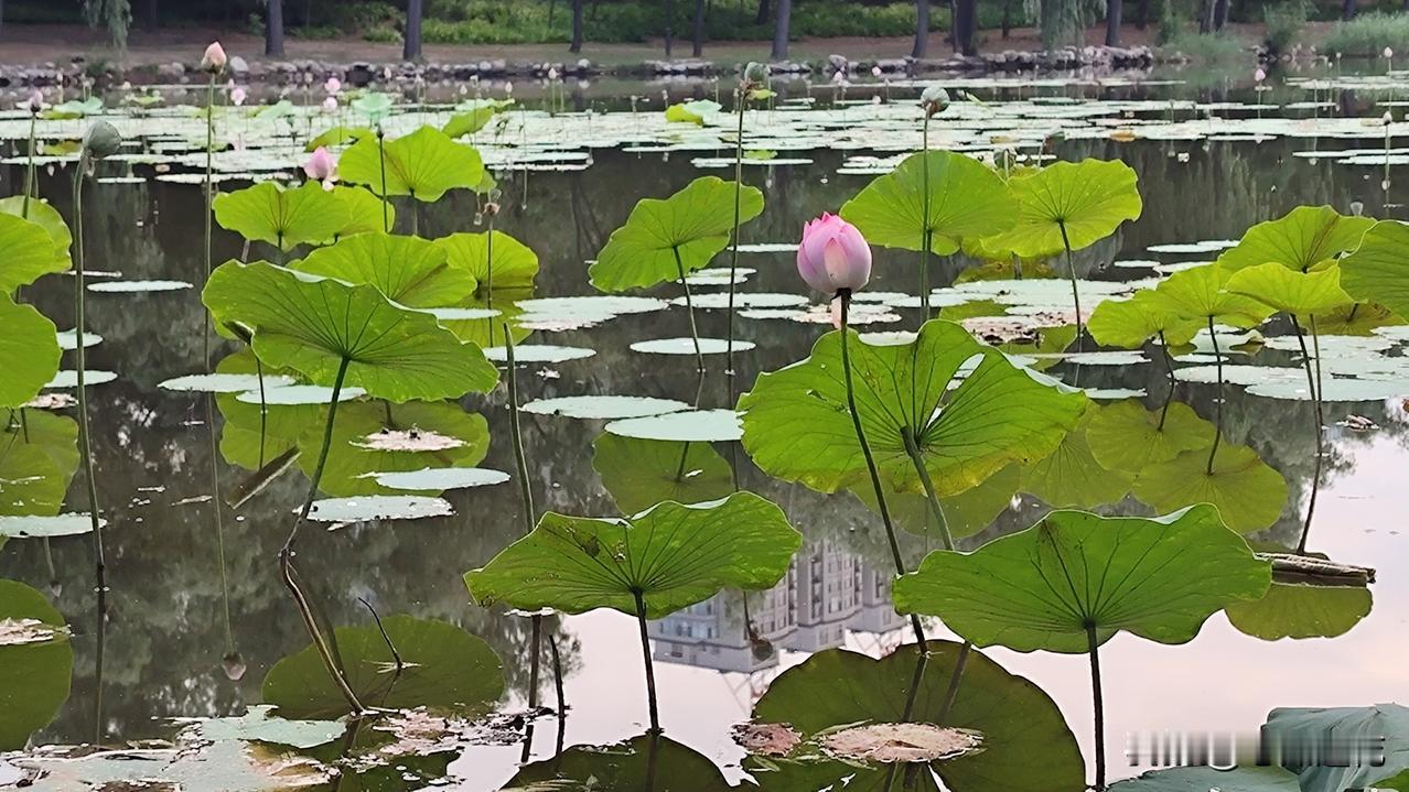 不管你信不信，要不了二十年，再也没亲戚可走。今天在药店听到一个三十多岁的女人跟一