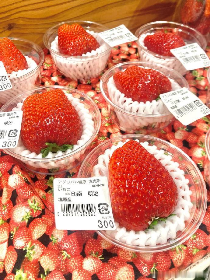 原来没这么爱吃草莓，这种一颗草莓300日元（13人民币）的，就不是一般草莓了，而