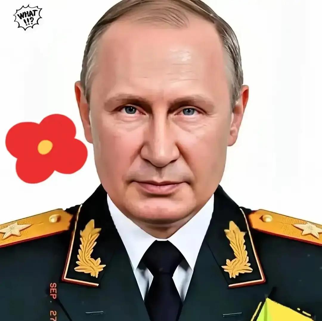 11月25日，一条重要消息传来：俄方表示结束乌克兰危机‘欧洲方案’不具建设性，俄