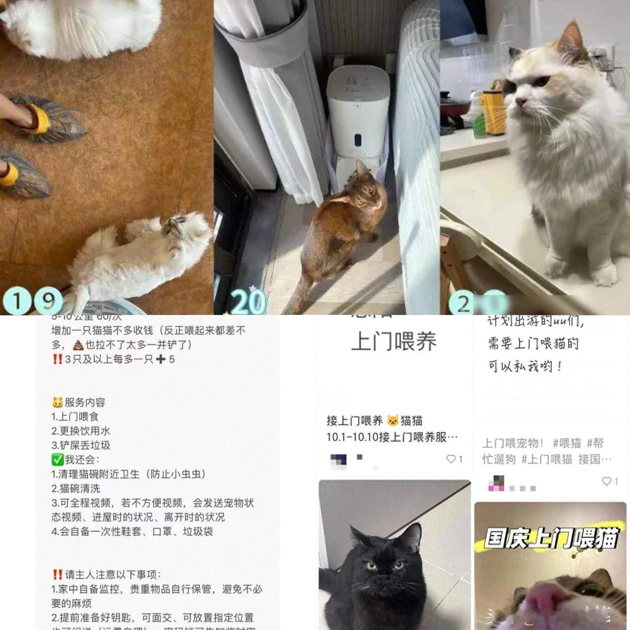 需求突然暴涨！
上海男子国庆假期连接270单，其中一单赚了8100元！

国庆假