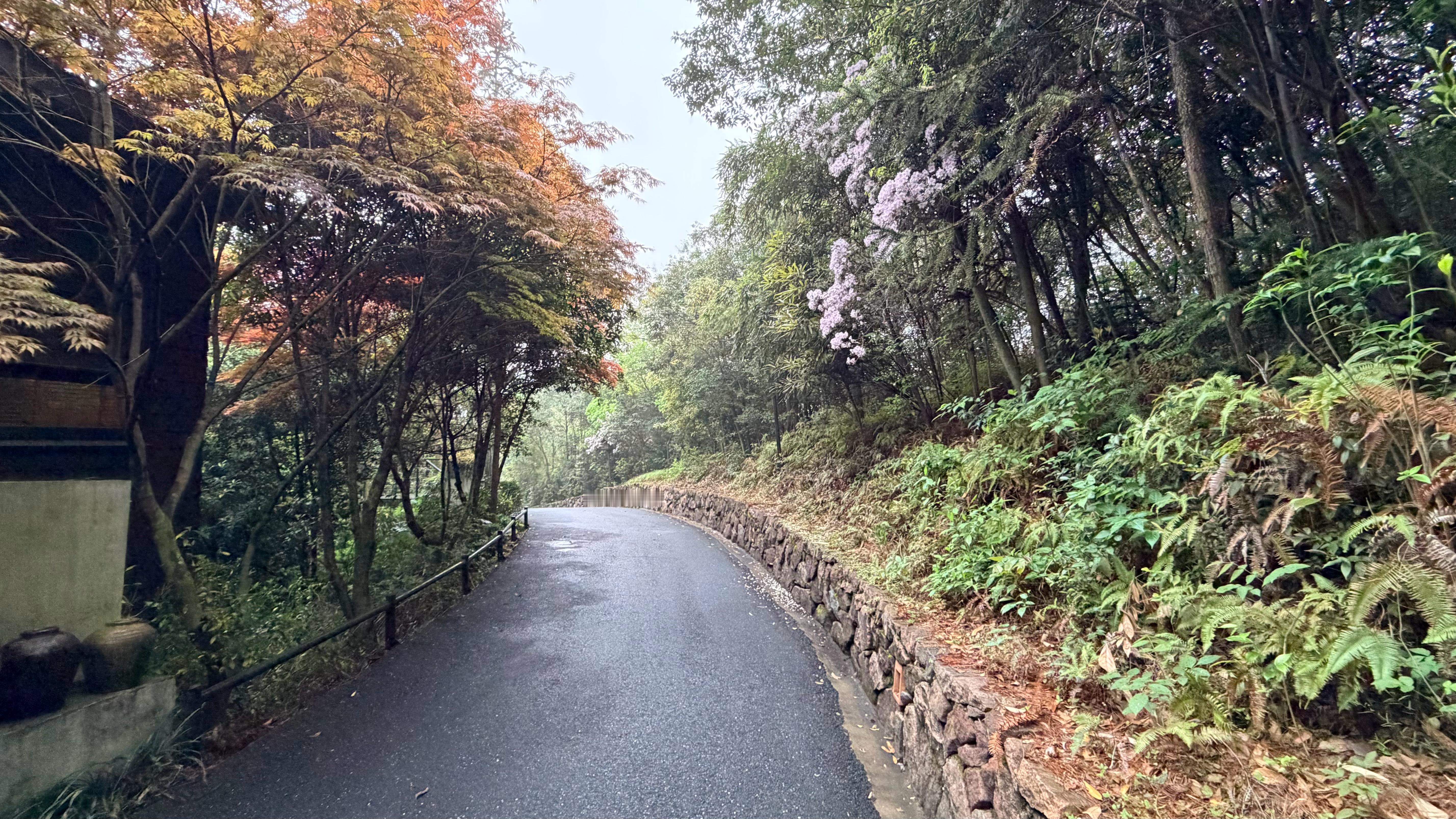 早～往左走，往右走，需要努力工作的意义… 