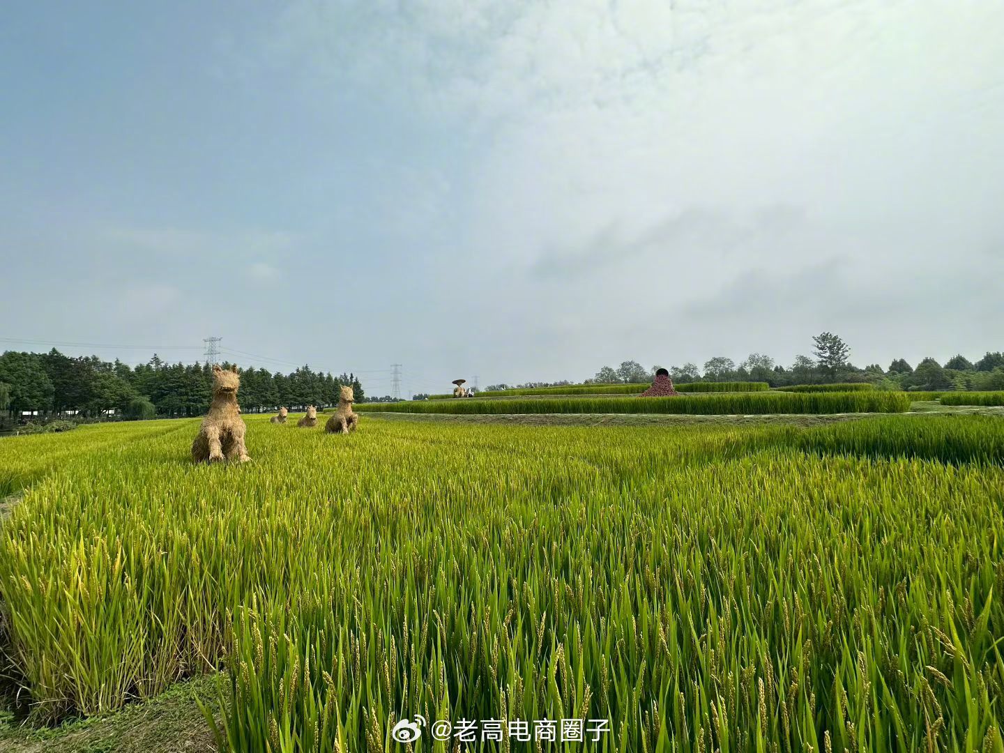 江南美如画 热如炉 ​​​
