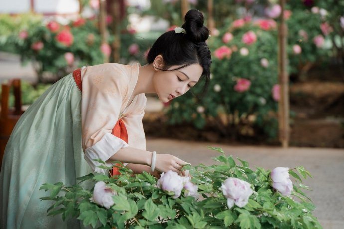 杨紫何惟芳与花为伍跳出命运  杨紫何惟芳牡丹争春  杨紫何惟芳牡丹争春，是与花为