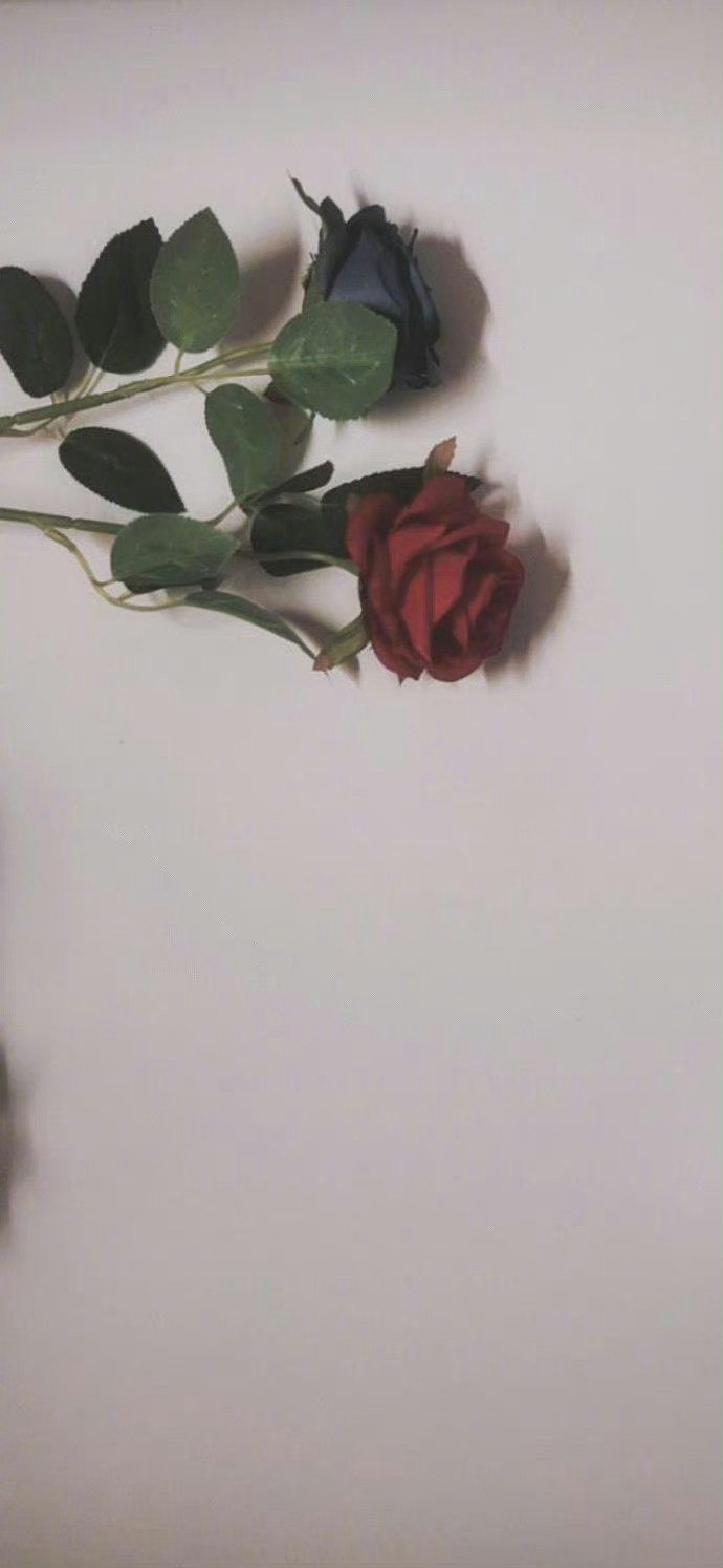 你决定不了一个人的出现，也挽留不了一个人的离开。你能做的只有珍惜不期而遇的惊喜，