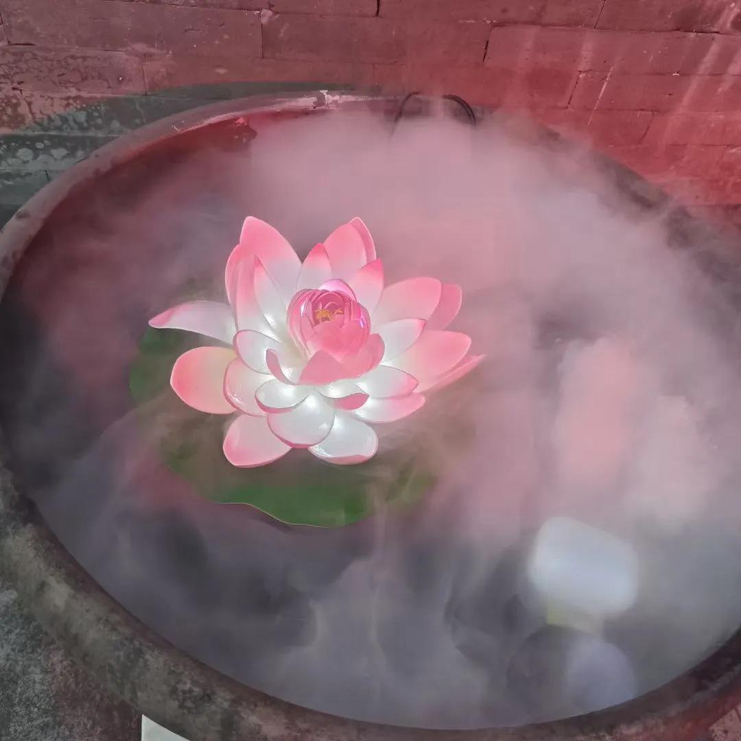 喜欢你的男人绝不会哭穷，我跟我们公司的法律顾问认识的时候，他就跟我说在深圳香蜜湖