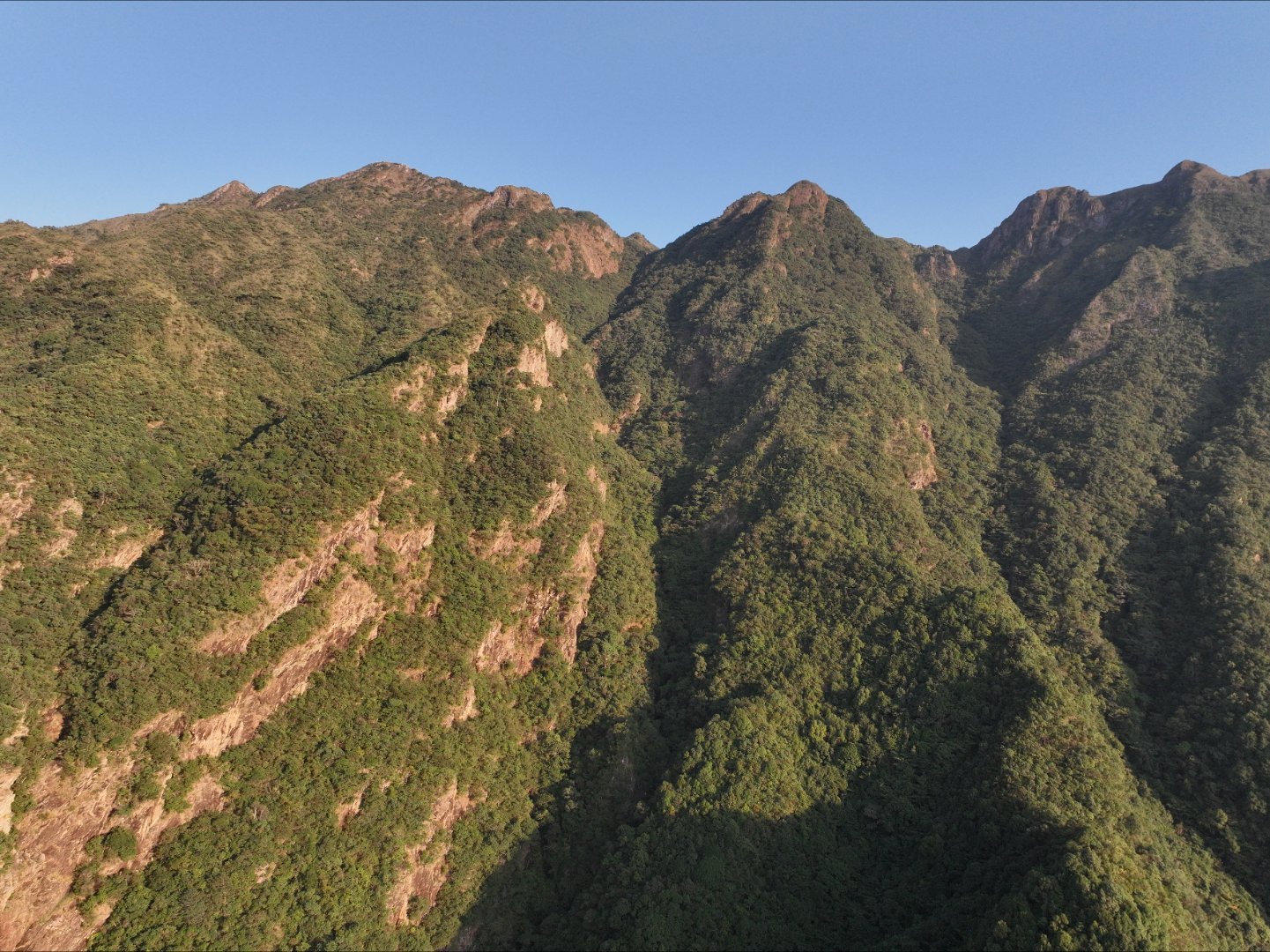 广东已知的两种猴子，两种在惠东的莲花山脉都有分布，尤其以白马山为分布中心，神奇的