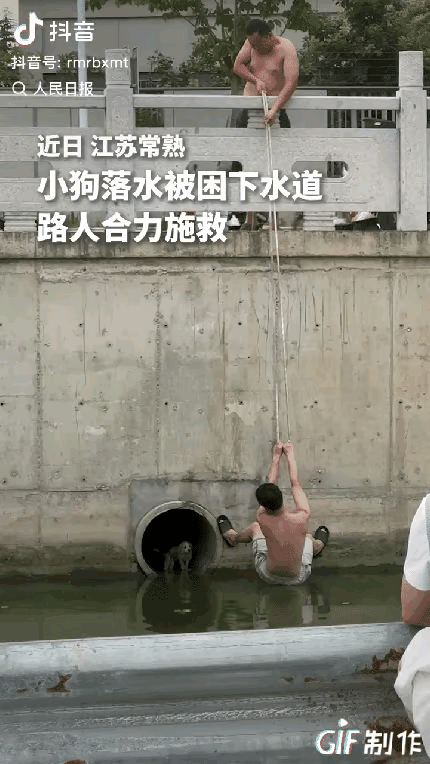 “没想到上人民日报了。”江苏常熟，一小狗落水被困在下水道里，本以为一生就要在此度
