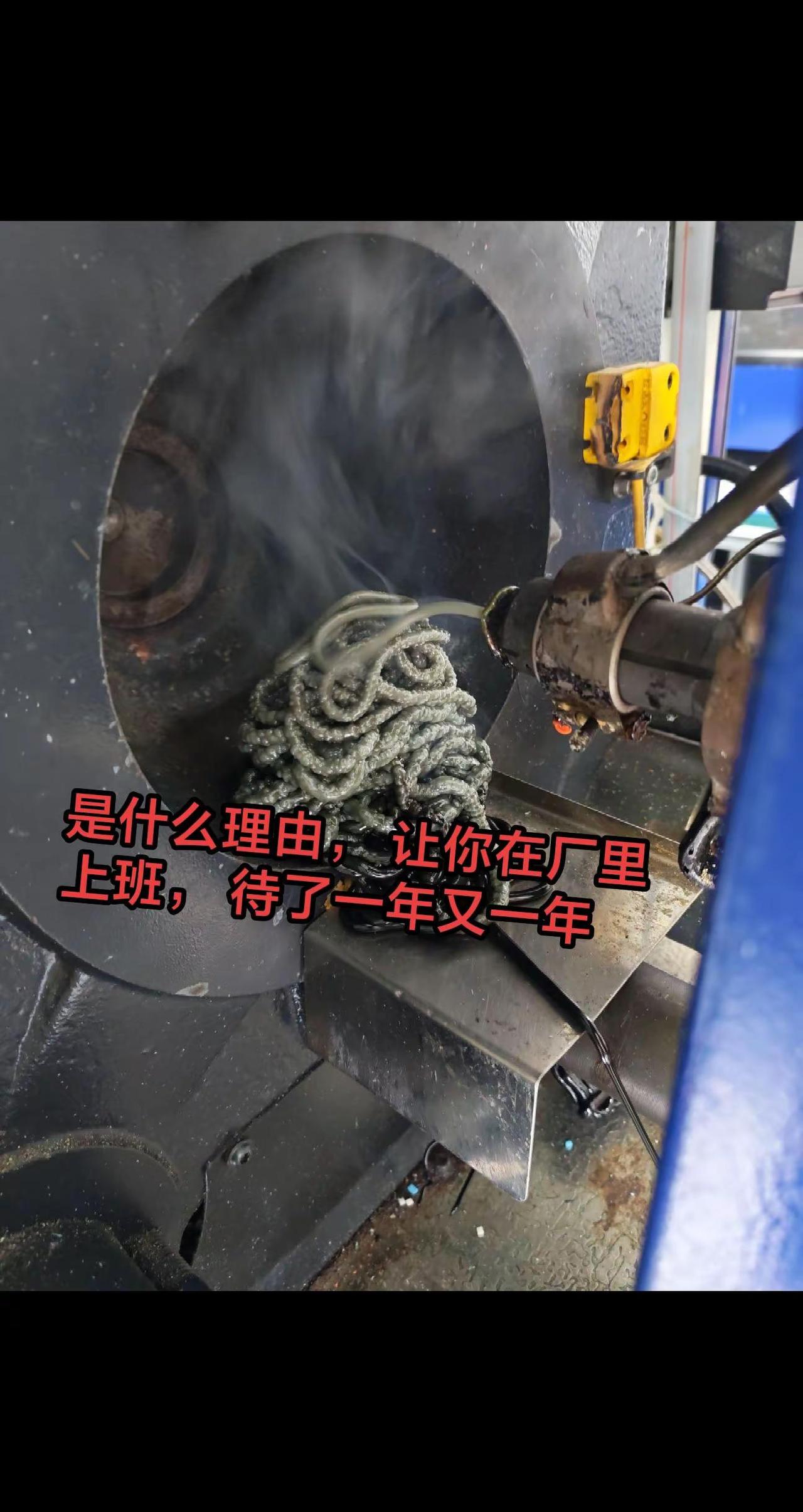 是什么理由，让你在厂里上班，待了一年又一年？