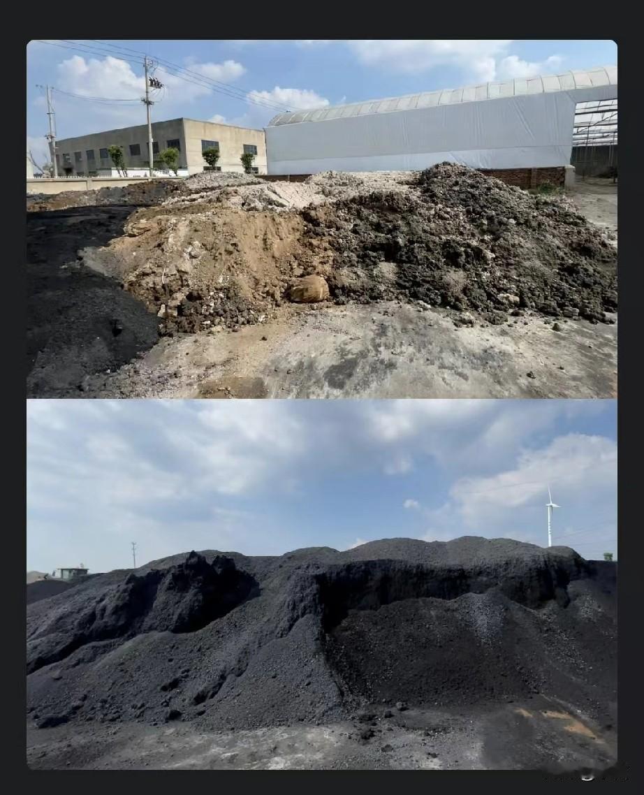 防不胜防！你在网上为你的花花草草购买的“营养土”可能因为重金属超标，正悄悄危害你