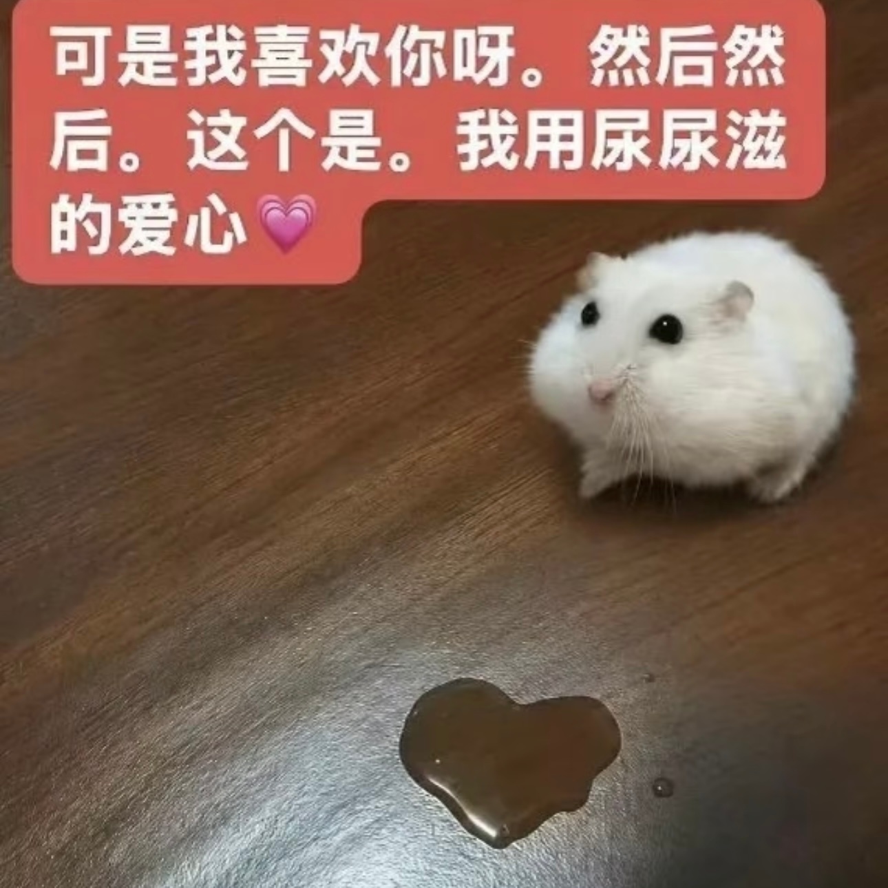 宝子们虽然我大名叫满月，但是刘耀文口中说月亮我就觉得好像那种亲昵的小名呀，对就是