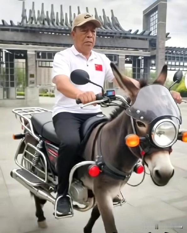 《出行推荐》

这配置应该推荐，首先是环保，而且无噪音，节约能源。
主要是续航能
