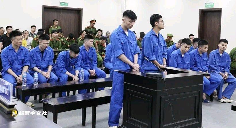 越南这起冒充“训玫瑰”诈骗120亿还涉及贩卖肾脏的案子太惊人了。2026年5月2