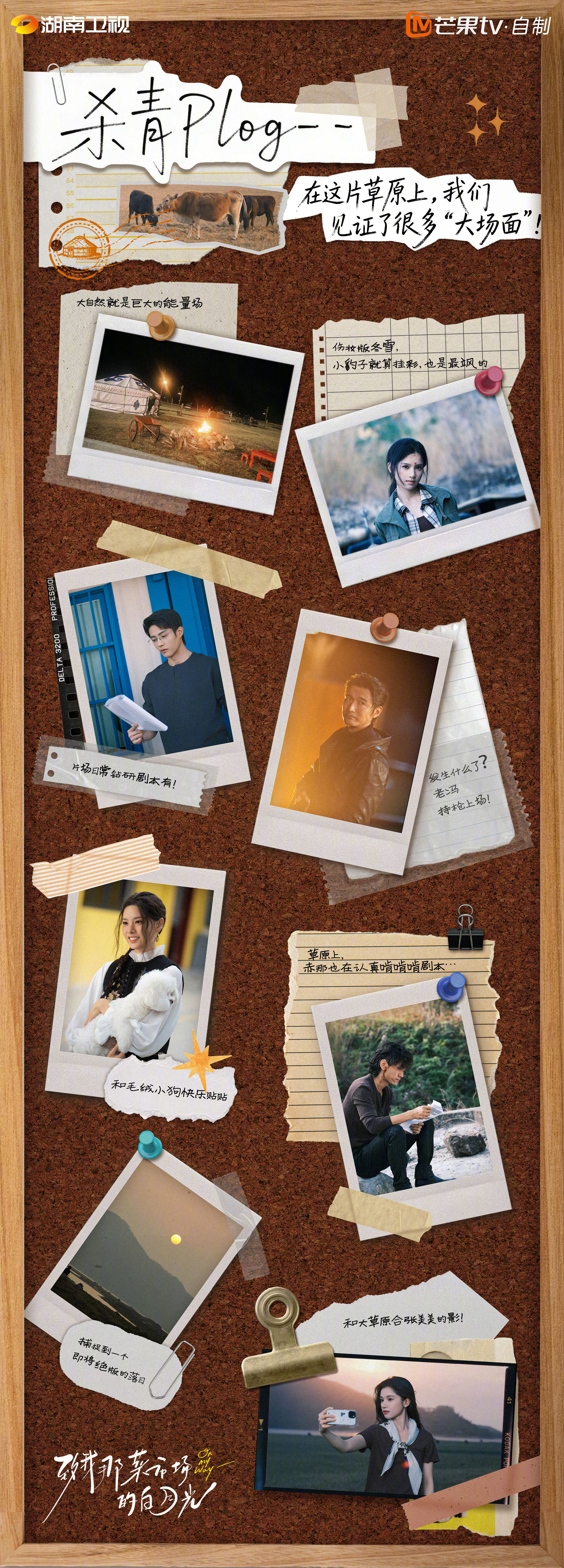 菜市场杀青一口气放了30张图 从金帛的老街巷到夏城的服装厂，从非洲的红土地到草原