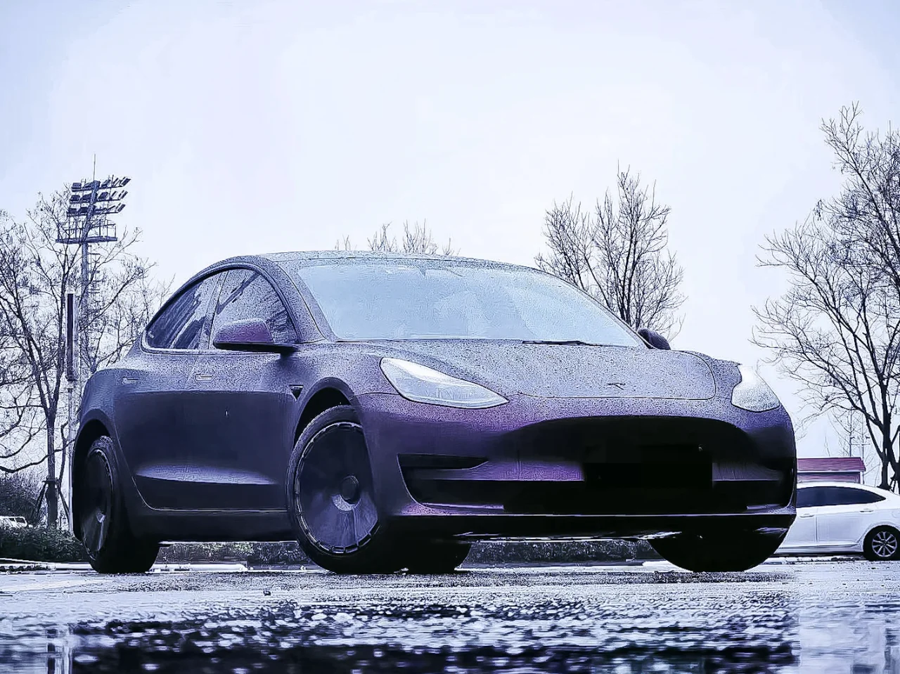 人类的迷惑行为，因为一个轮毂盖买了特斯拉