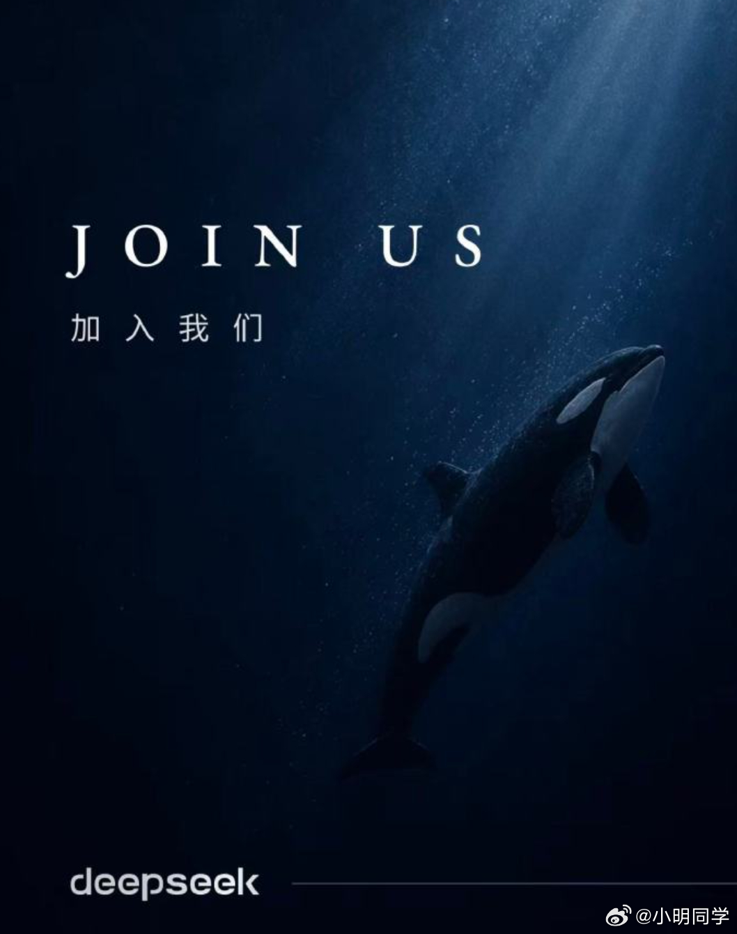 DeepSeek为何大规模招人 刚完成500亿融资的DeepSeek就开启了大规