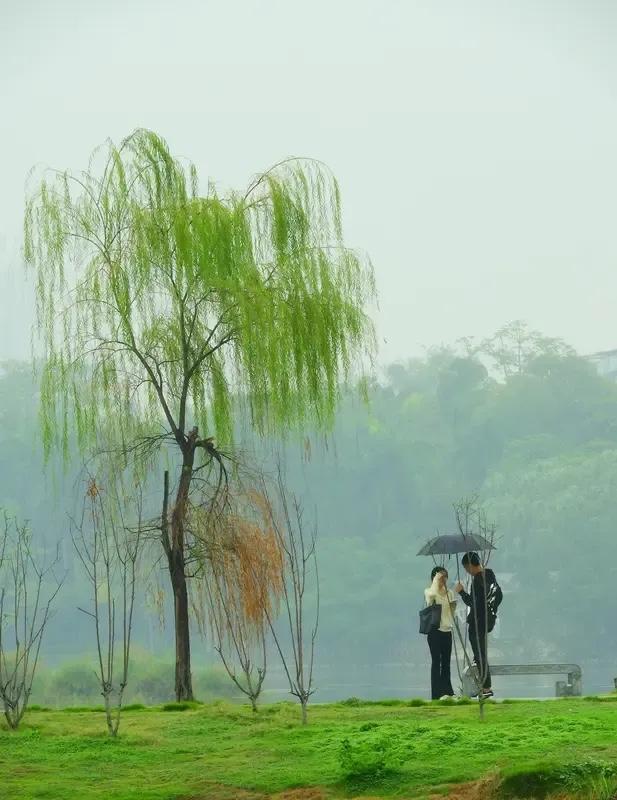 苍天有泪化成雨，
大地怀浆变石油。
横批：《有泪与怀浆》