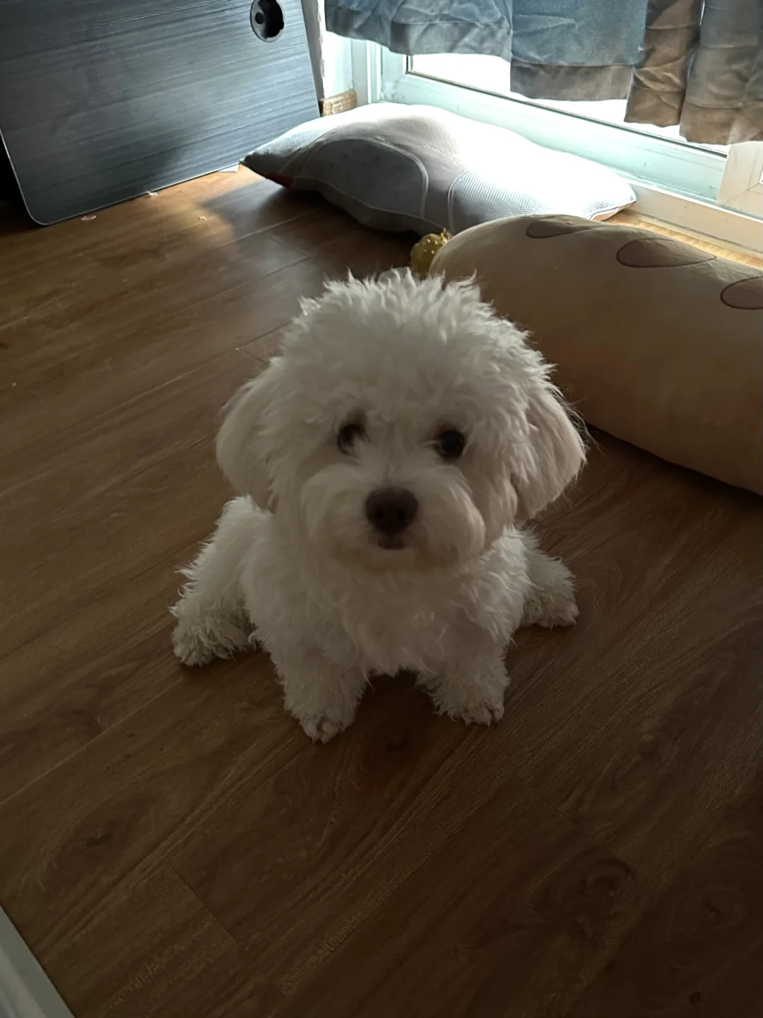 也不知道被这小鼻嘎盯了多久