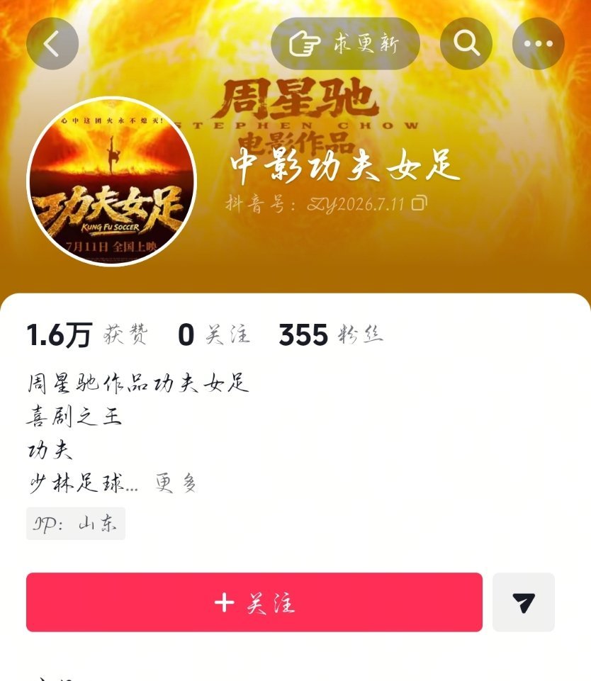 这个是假的 