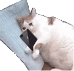 #王源演唱会主题房爆火#王源和粉丝之间永远都是最真诚的，尤其是这样的主题体验一定