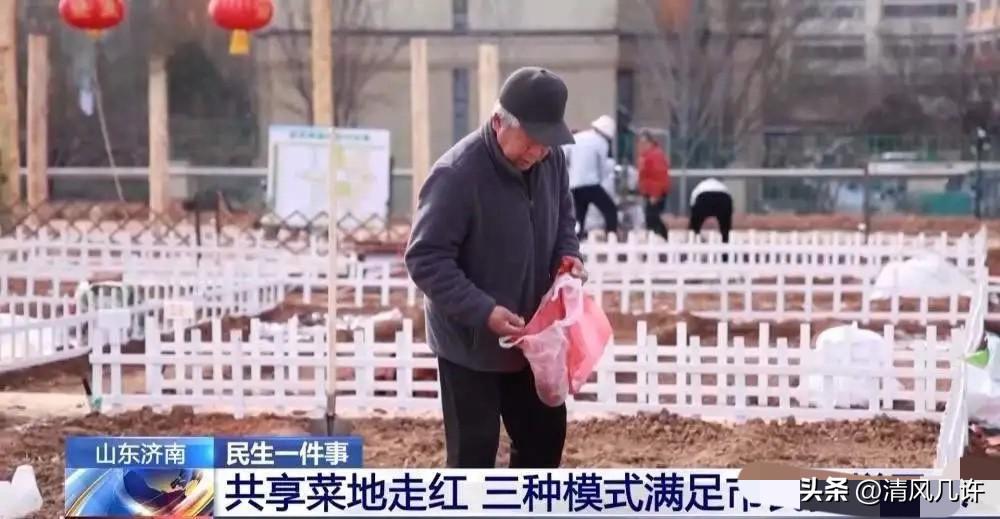 山东济南一名男子把家里10亩地分成200份挂到网上出租，按月收费，结果不到10天