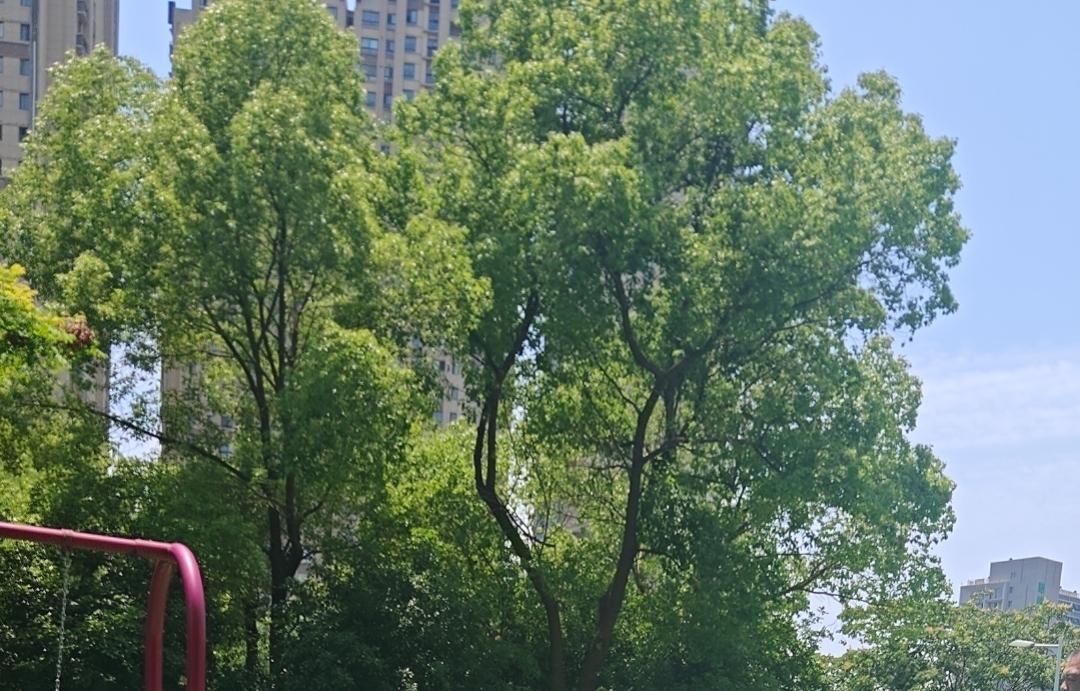 为什么有人会接受没有社保的工作因为现在的大环境不好，能有个稳定工作已经很不错