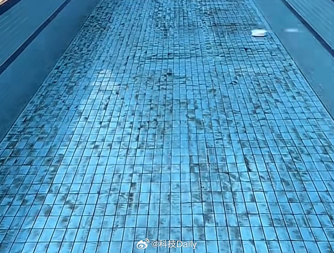 男子突发奇想让扫地机扫泳池其实没问题的，怎么洗不是洗，只要你乐意，想咋安排咋安排