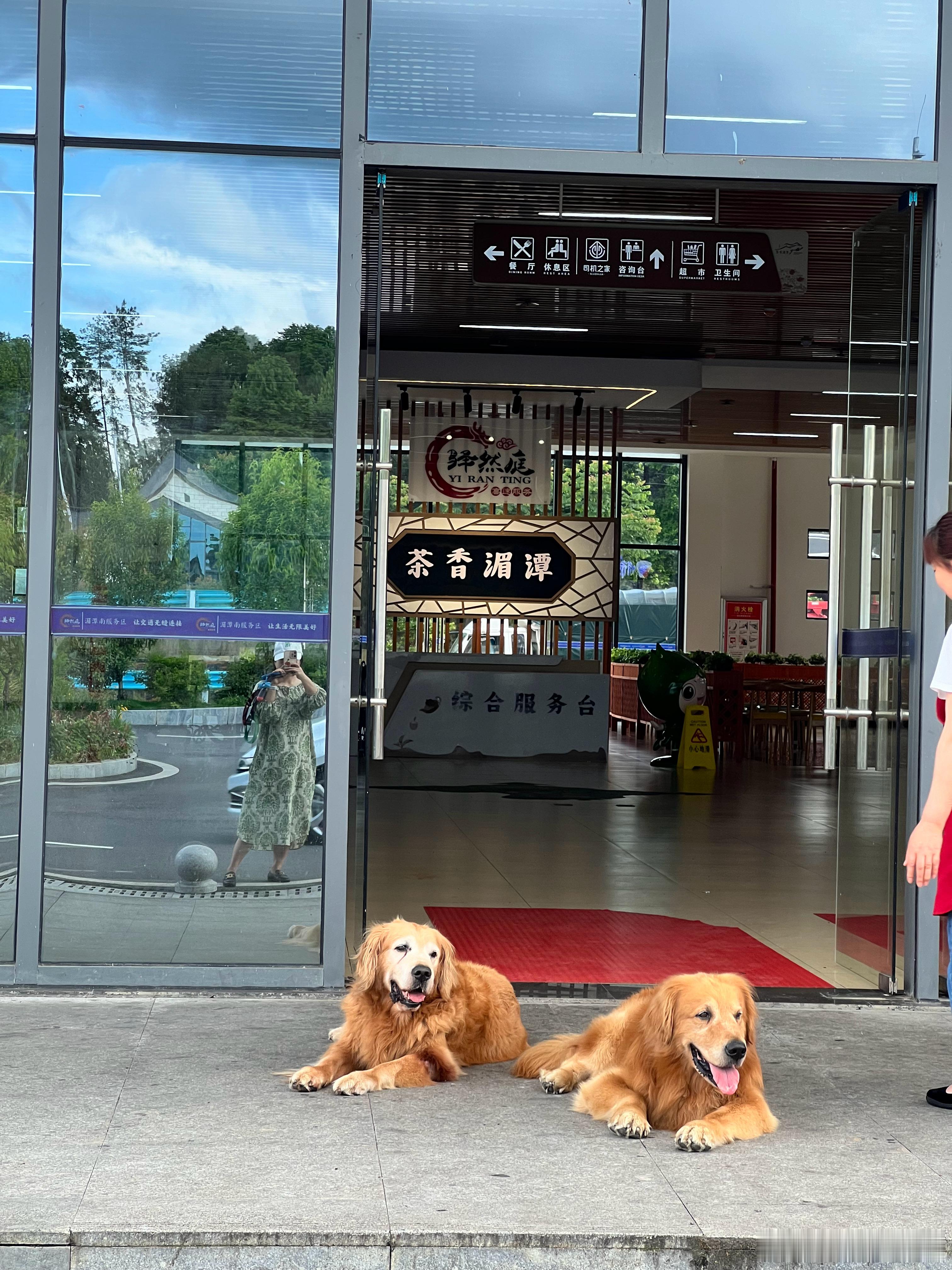 一天坐了830公里，从成都到了湖南。可惜下雨了，狗也没遛成，古镇也没逛成。我这觉