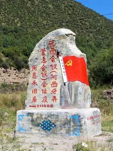 夏日生活打卡季大草地，巴西会议，确定北上。