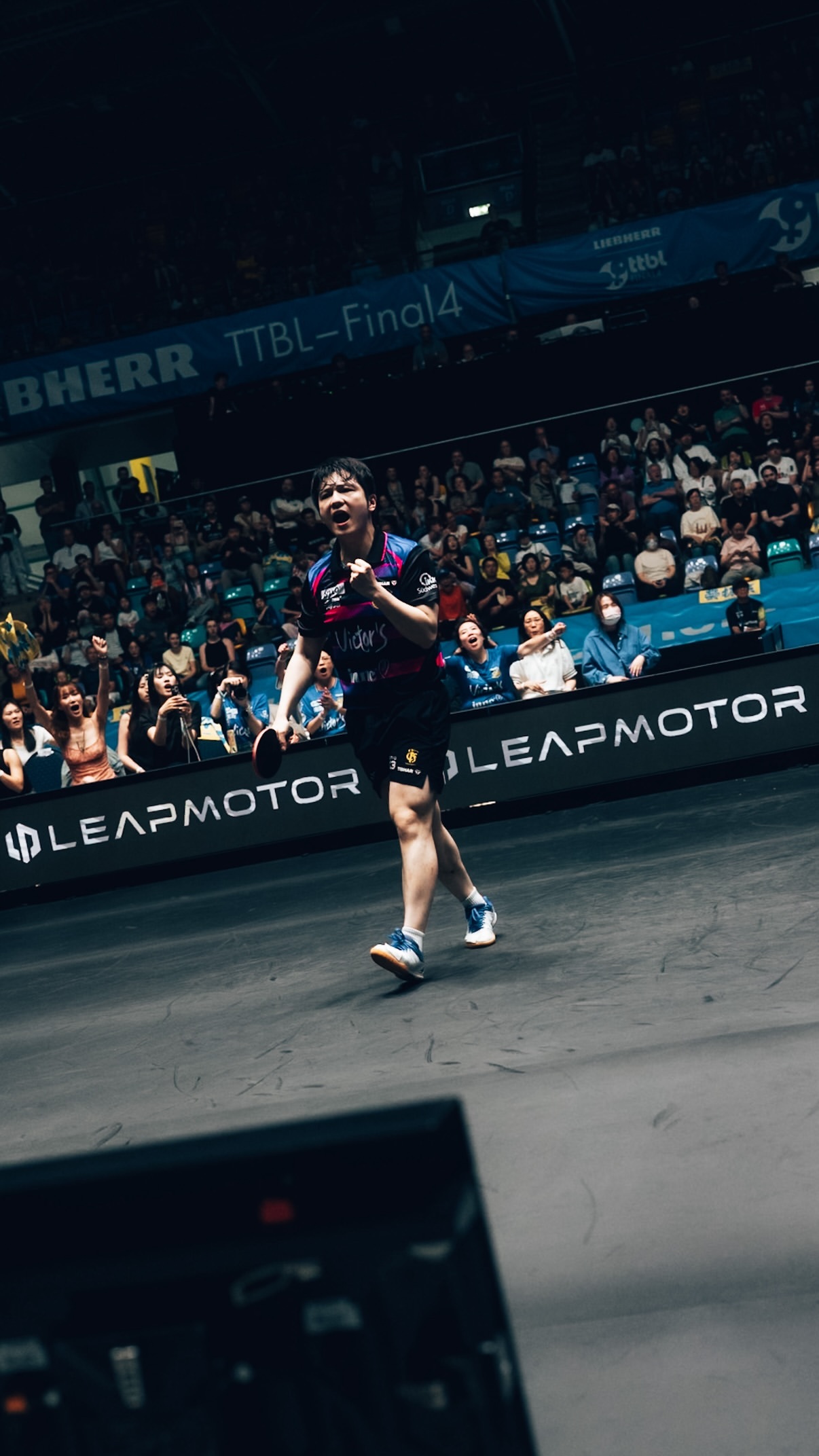 樊振东🏓2025-2026德甲联赛🏆樊振东德甲夺冠 【20260531】【图