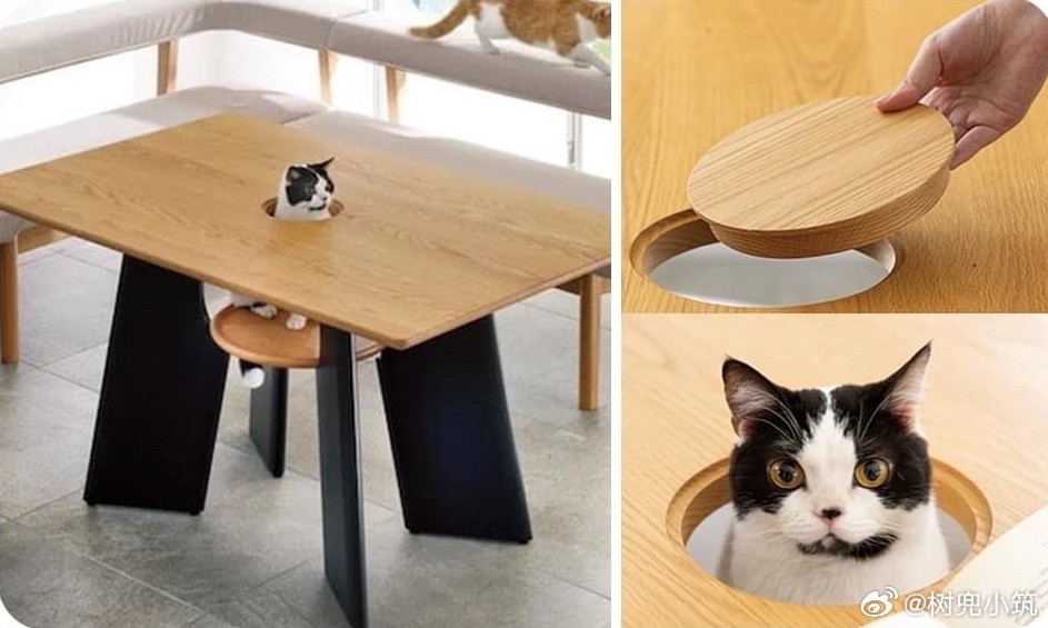 日本设计师打造宠物友好型家具，让你的猫咪成为餐桌的焦点。 